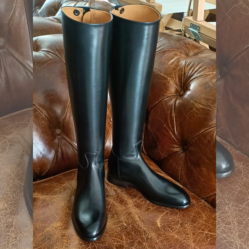 Bridon de présentation Shires Blenheim Fancy | Sellerie Bucéphale Bridon de présentation Shires Blenheim Fancy | Sellerie Bucéphale